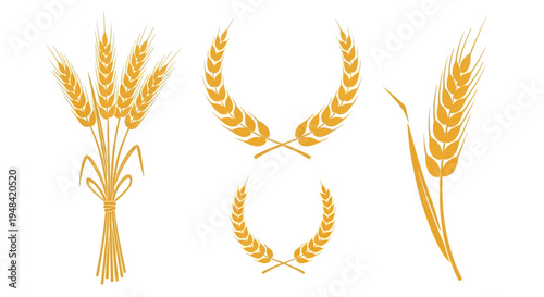 Versatile Collection of Golden Wheat Illustrations for Harvest, Agricultural, and Bakery Designs, Featuring Cereal Grains and Laurel Wreaths