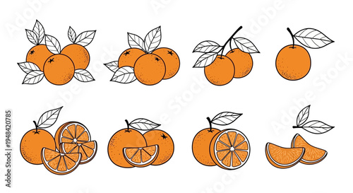 Set of various orange illustrations, including whole fruits, halved oranges, and orange slices with leaves