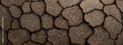 Close up fresh black truffles. Panoramic banner 