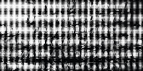 A high contrast black and white abstract background composed of a dense grid of varying dot sizes Vector