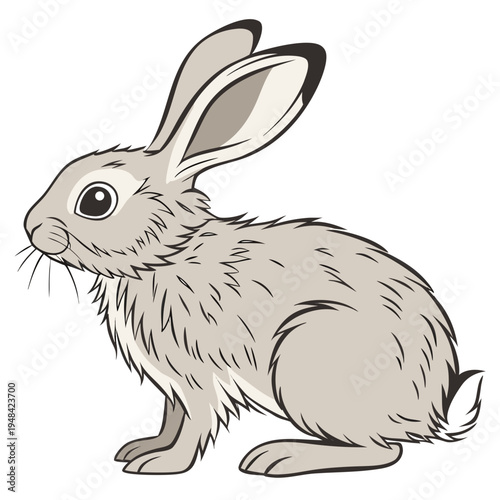 Gray rabbit cartoon animal mammal cute
