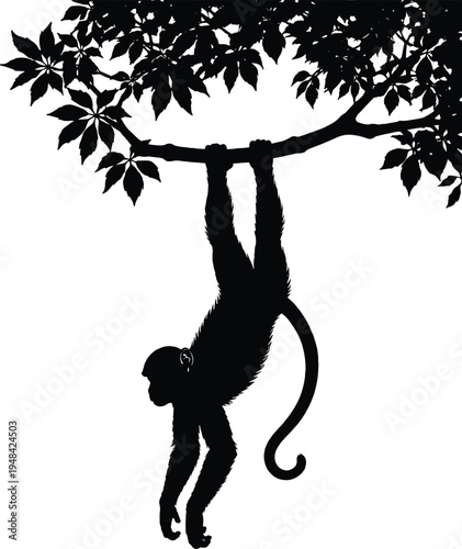 Silhouette of a monkey hanging upside down from a tree branch with lush green leaves against a white background