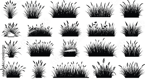 Grass and wild plants silhouettes collection meadow reeds weeds foliage nature botanical elements isolated black vector illustration set