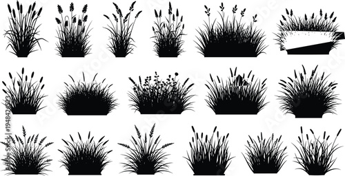 Wild grass and meadow plants silhouettes collection botanical foliage reeds weeds nature isolated black vector illustration set