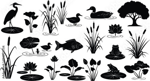 Black silhouette illustration of wetland ecosystem featuring herons, ducks, frogs, fish, turtle, cattails, lotus flowers, lily pads, reeds, and tree representing freshwater biodiversity.