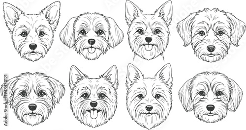 A detailed illustration of eight different dog faces with various expressions and breeds.