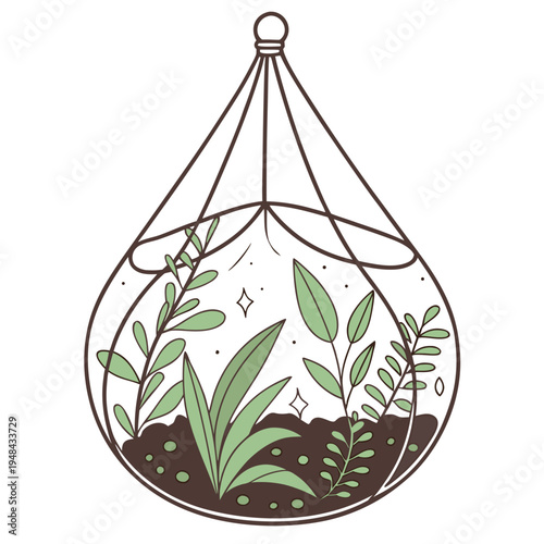 Hanging glass terrarium with green plants and soil