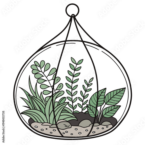 Of a hanging glass terrarium with plants green