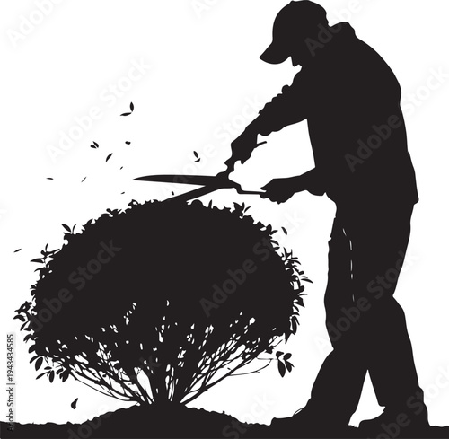Gardener pruning a bush with shears in a careful manner