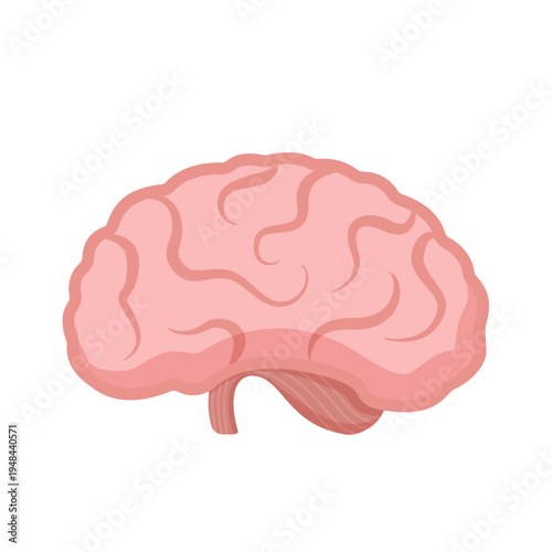 Human brain icon on a white background. Symbol of the mind for medical and biological education. Advertising for clinics, children's education, pharmaceutical companies, and drug development. Memory