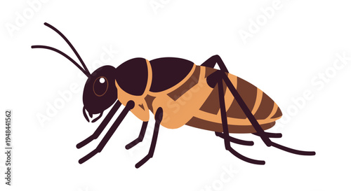 Illustration of a firefly showcasing its segmented body and delicate wings