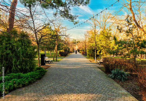 Landscape of a winter city park in Anapa