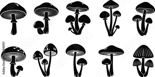 Mushroom silhouette collection, botanical fungi outline, nature figure design, forest motif illustration, edible wild icon, organic growth art