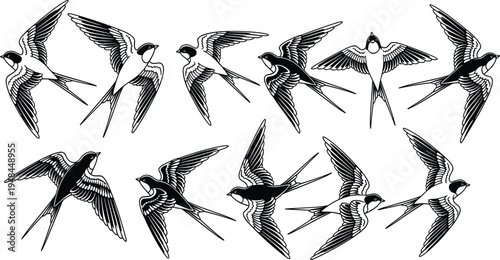 Swallow silhouette collection, bird flight outline, nature figure design, freedom motif illustration, travel icon art, graceful wing posture graphic