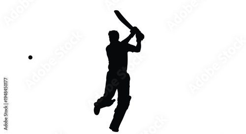 Silhouette of a cricket batsman in mid swing against a white background