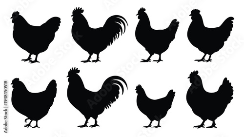 Farm chicken silhouettes collection, black vector illustration of hens and roosters in different poses for agriculture, poultry farming, rural lifestyle, and animal design projects