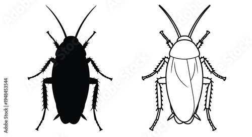 Two contrasting views of a cockroach silhouette and outlined form