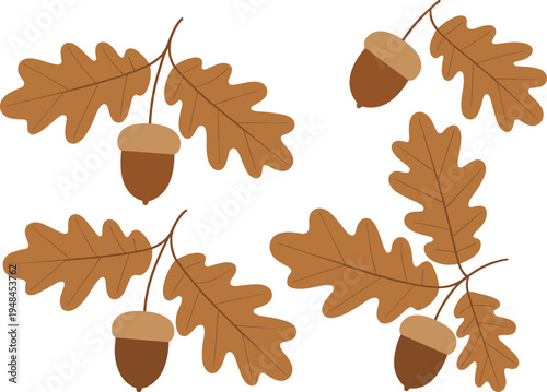 Autumn oak leaves and acorns illustration set, fall forest botanical elements with brown foliage and nuts, seasonal nature vector isolated on light background