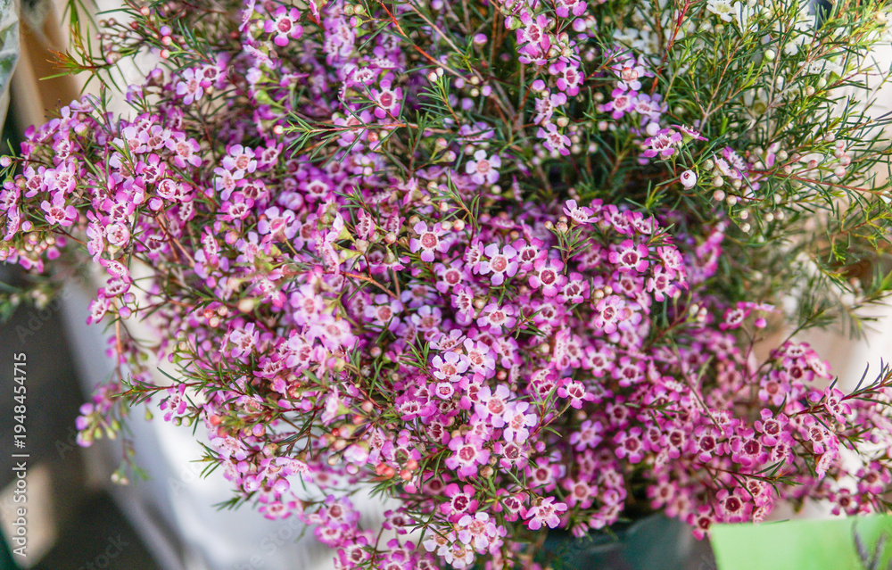 Obraz premium Flower shop with colorful spring flowers and bouquets, gift concept for Mother’s Day, Women’s Day and celebrations