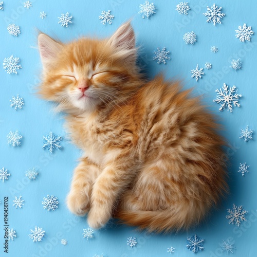 Cute Orange Kitten Sleeps Surrounded by Snowflakes on Blue Background in Wint...