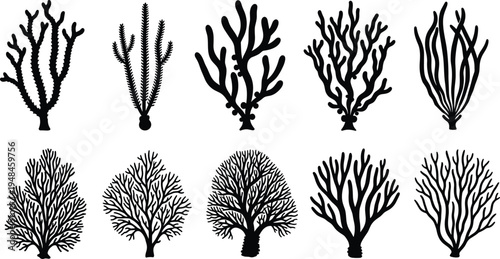 Black Coral Silhouettes Set of Ten Marine Reef Elements Isolated on White Background for Underwater Nature Design and Coastal Vector Art