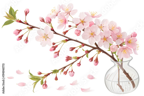 Pink Cherry Blossom Branch in Glass Vase with Falling Petals – Beautiful Sakura Home Decor