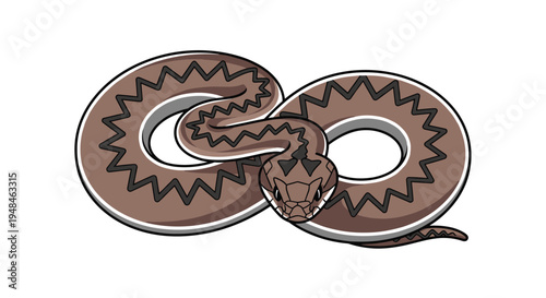 Detailed illustration of a coiled viper snake, showcasing its striking pattern and menacing pose with its head facing forward, ready to strike.