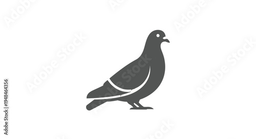 Simple Illustration of a Pigeon Bird.