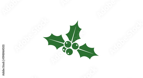 Holly Leaves with Red Berries Illustration.