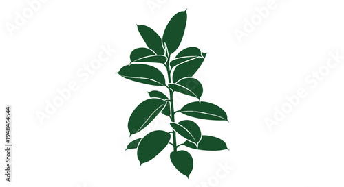 Green Leaves on Stem Illustration.