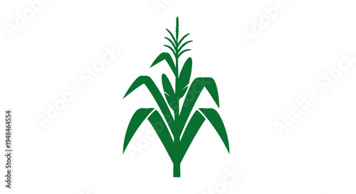 Green Bamboo Plant Illustration Isolated White.
