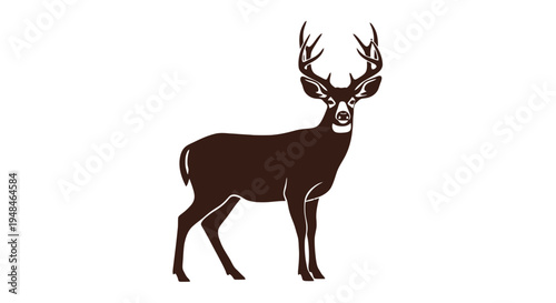 Illustration of a Deer with Antlers.