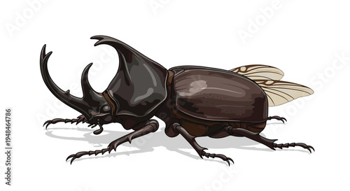 Impressive rhinoceros beetle with its prominent horn and broad body, showcasing its powerful form and unique features, a strong insect.