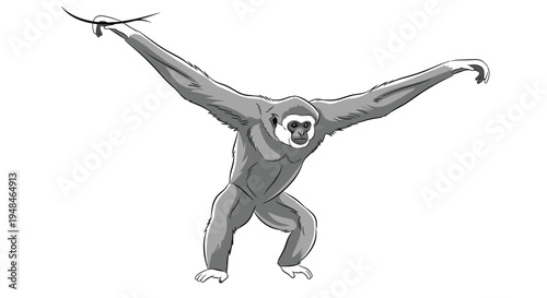 Agile gibbon with long arms outstretched, showcasing its remarkable acrobatic ability and graceful movement through the forest canopy.