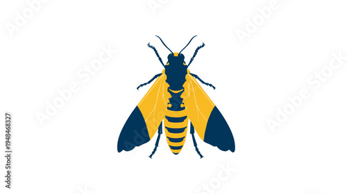 Graphic illustration of a wasp, rendered in contrasting colors, centered against a white background