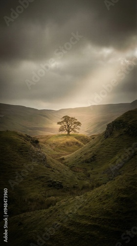 Solitary tree in a valley representing the Garden of Eden. Biblical landscape of paradise before the fall of man. Divine light shining on the tree of knowledge in a serene wilderness.
