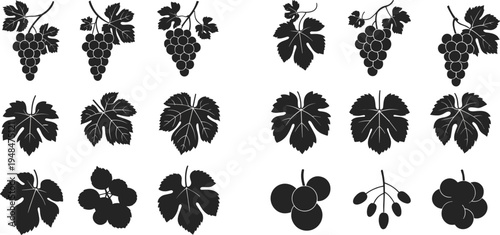 Grape fruit and vine leaves silhouette vector set, vineyard plant elements for wine design isolated botanical icons collection