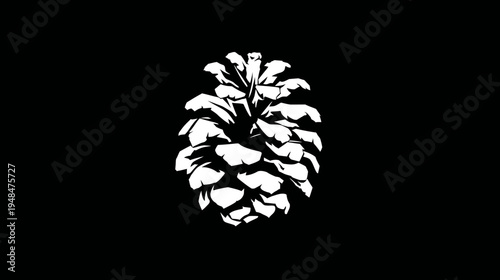 A white pinecone silhouetted against a black background, showcasing intricate details