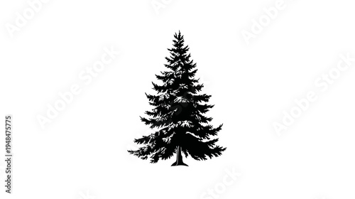 A simple, symmetrical silhouette of a coniferous tree, rendered in solid black against a white background