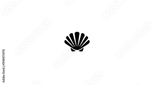 A stylized black seashell icon sits centrally on a plain white background