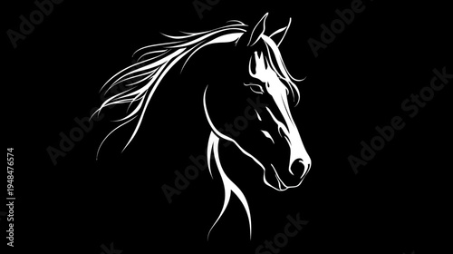 Silhouetted outline of a horse's head, white on black, showcasing mane and facial details