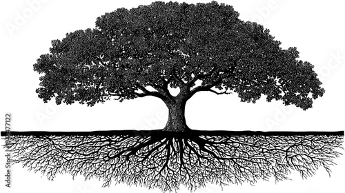 A grayscale, stylized illustration of a tree, showcasing both the crown and sprawling roots