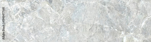 Light gray marble stone texture with natural veins and mineral patterns, elegant background for interior or design use.