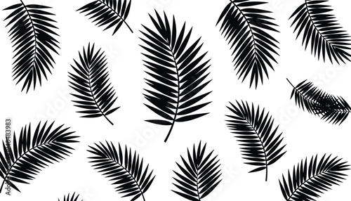 Tropical palm leaves silhouette collection botanical jungle foliage illustration set for summer design nature decor background pattern