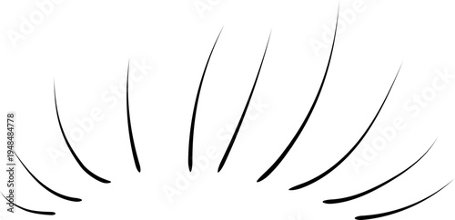 Lashes Cilia Lash Extensions