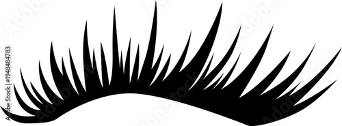 Eyelashes Extension