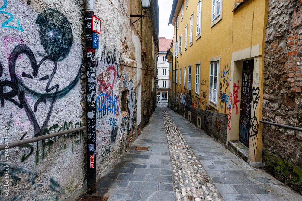 Fototapeta premium Travel destination in Europe, Ljubliana city in Slovenia.