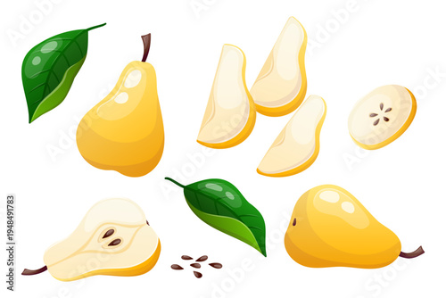 Whole pears, slices, halves, seeds and leaves, collection of vector illustrations for food design, menus, grocery store branding, packaging, healthy eating concepts and fresh fruit products
