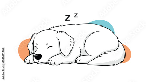 Peaceful illustration of a cute white dog curled up and sleeping with tiny Zzz symbols floating above its head.