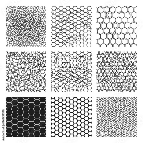 Abstract Geometric Patterns: Hexagons and Organic Cell Structures